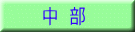 中 部